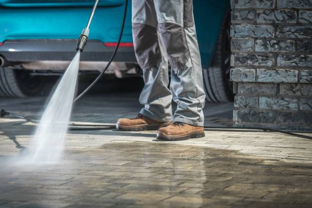 Professional  Pressure Washing Services in Homer, LA